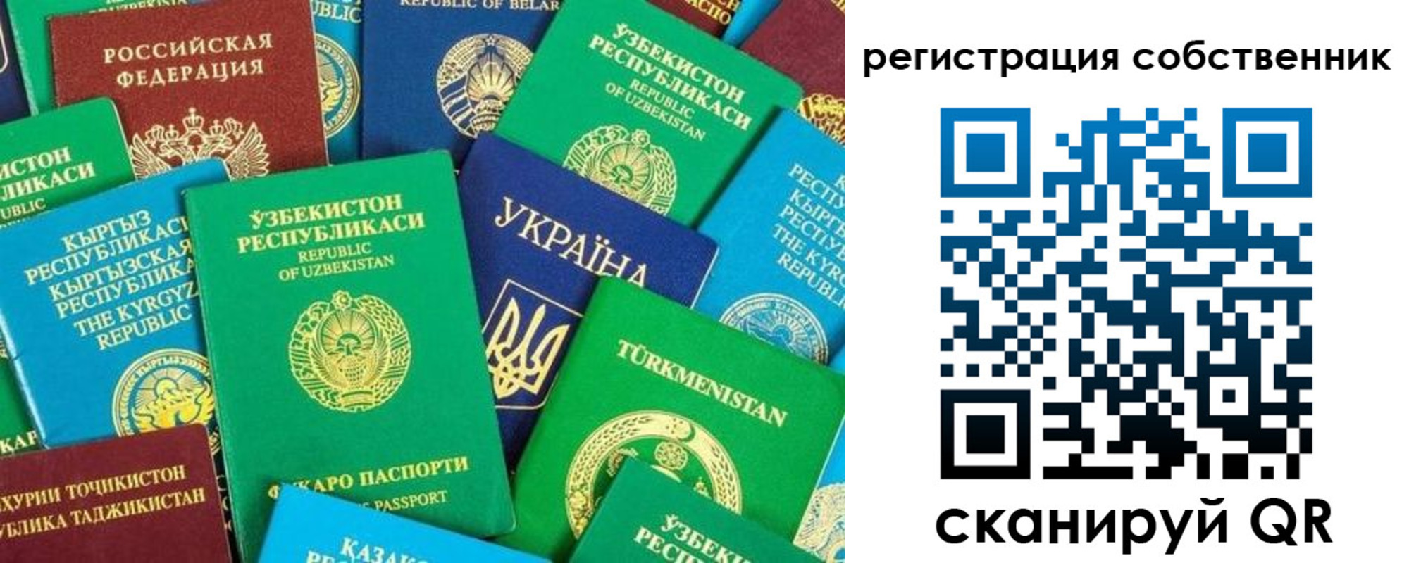 прописка в Почепе